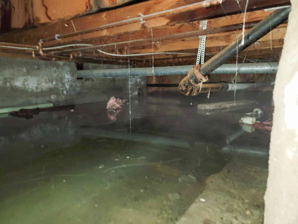Best Local water damage restoration  in Sleepy Hollow, NY