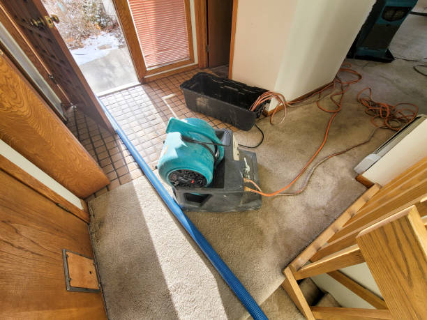 Best Flooded house restoration  in Sleepy Hollow, NY