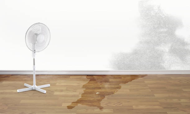 Best Sewage cleanup and water damage restoration  in Sleepy Hollow, NY
