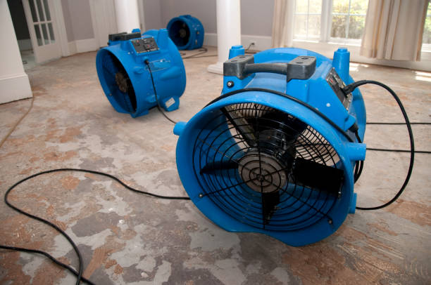 Best Water damage restoration process  in Sleepy Hollow, NY