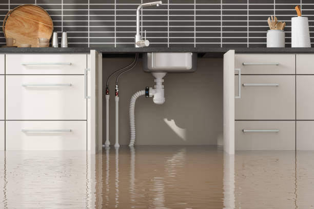 Best Ceiling water damage repair  in Sleepy Hollow, NY