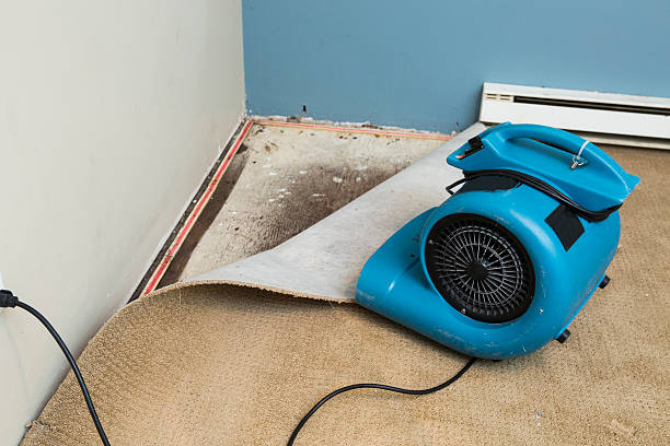 Best Flood damage cleanup  in Sleepy Hollow, NY